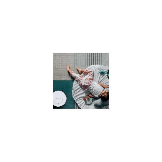 Пилосос Rowenta RR9077WH Пилосос Rowenta RR9077WH