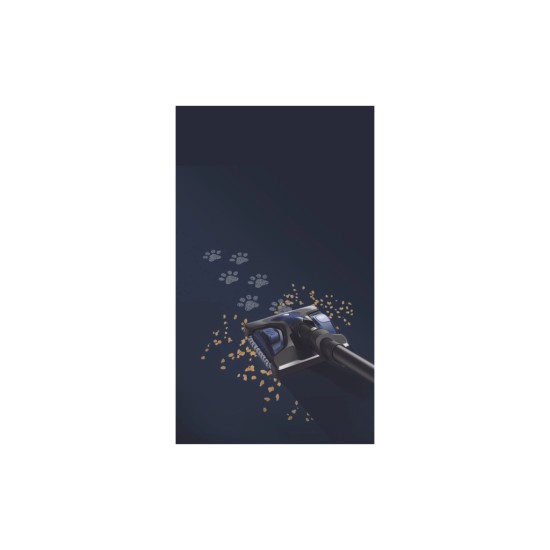 Пылесос Rowenta RH99G1WO Пылесос Rowenta RH99G1WO