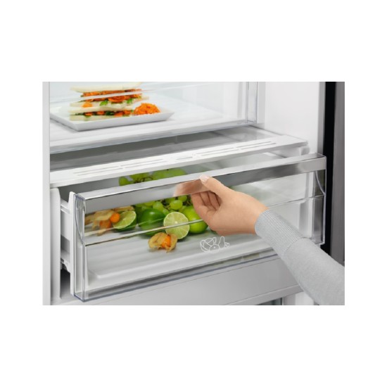 Холодильник Electrolux RNT7ME34K1 Холодильник Electrolux RNT7ME34K1