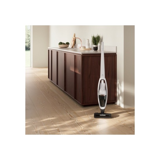 Пилосос Electrolux ES52HB25SH Пилосос Electrolux ES52HB25SH