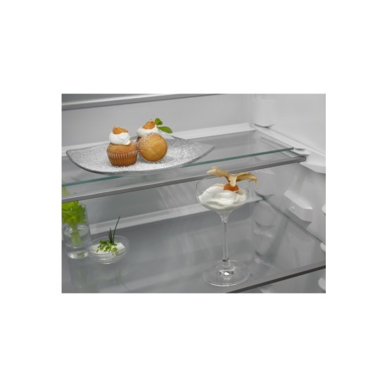 Холодильник Electrolux RNT6TE19S0 Холодильник Electrolux RNT6TE19S0