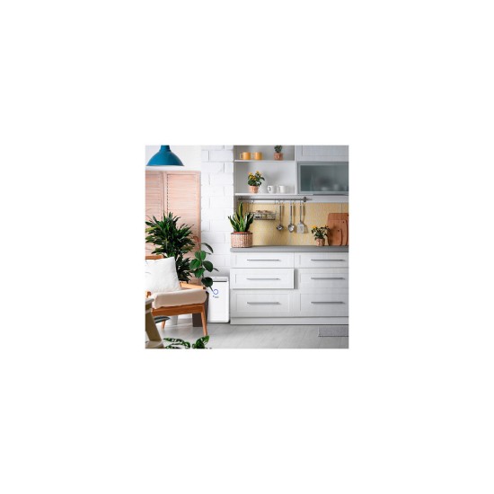 Осушувач повітря MYCOND Roomer Smart 25 (ROOMER_SMART_25) Осушувач повітря MYCOND Roomer Smart 25 (ROOMER_SMART_25)