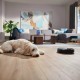 Пылесос Philips XU7100/01 Пылесос Philips XU7100/01