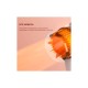 Фен Xiaomi Deerma DEM-CF50W(pink) (DEM-CF50W(pink)) Фен Xiaomi Deerma DEM-CF50W(pink) (DEM-CF50W(pink))