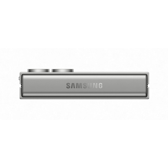Мобильный телефон Samsung Galaxy Flip6 12/256Gb Silver Shadow (SM-F741BZSGSEK) Мобильный телефон Samsung Galaxy Flip6 12/256Gb Silver Shadow (SM-F741BZSGSEK)