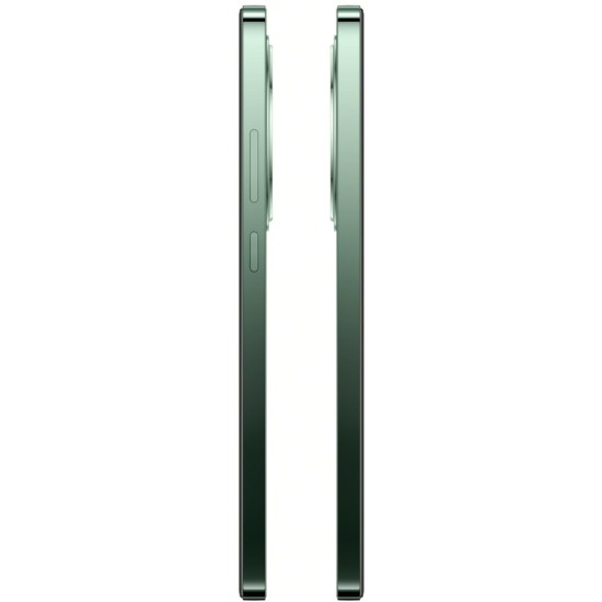 Мобільний телефон Oppo Reno12 FS 5G 12/512GB Black Green (OFCPH2637_BLACK)