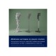 Пилосос Electrolux EP61CB21OG Пилосос Electrolux EP61CB21OG