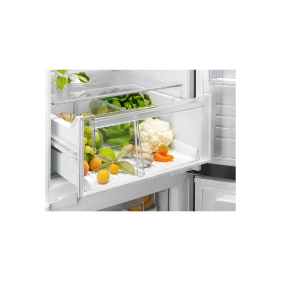Холодильник Electrolux RNT6TE19S Холодильник Electrolux RNT6TE19S