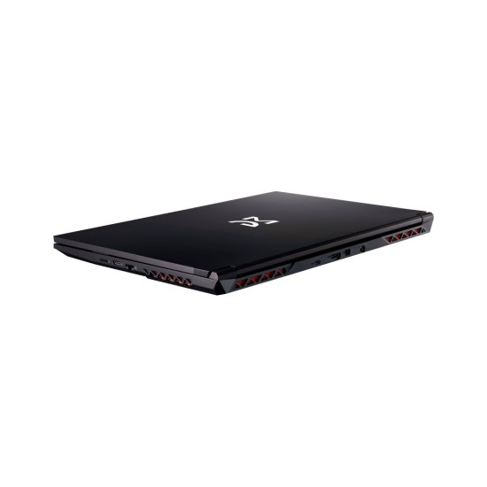 Ноутбук Dream Machines RG2050-17 (RG2050-17UA20) Ноутбук Dream Machines RG2050-17 (RG2050-17UA20)