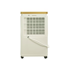 Осушитель воздуха Cooper&Hunter CH-D005WD8-12LDWF